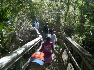 Hiking in Florida - Crowley Museum and Nature Center