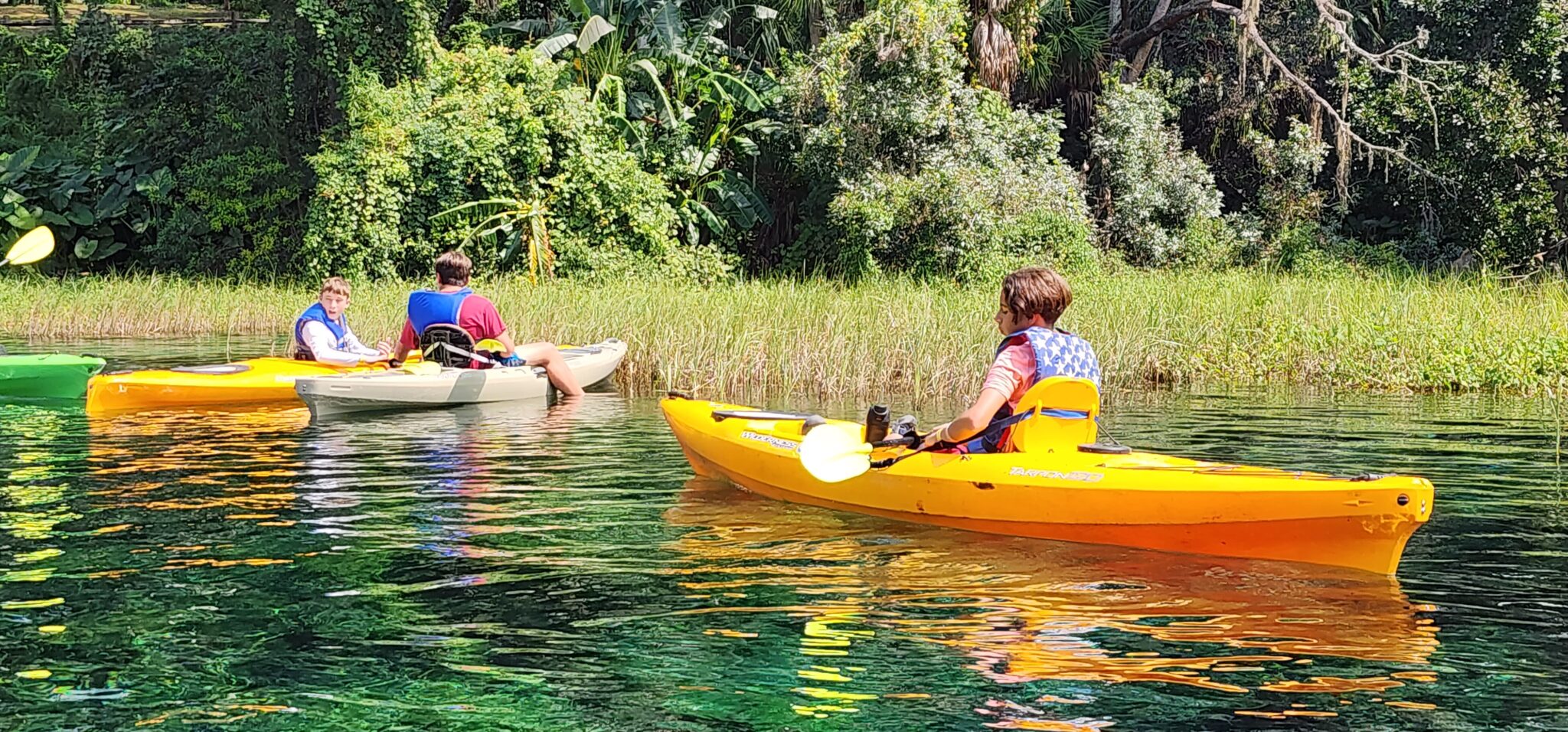 Notaclue Enjoying Florida Springs and How to Protect Them When Visiting - Not a ...