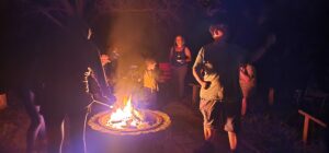 Favorite Camping Locations Florida: A Guide to the Best Campgrounds and Activities