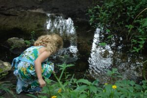 Why You Should Try Exploring Nature in Florida on a Child-Led Adventure