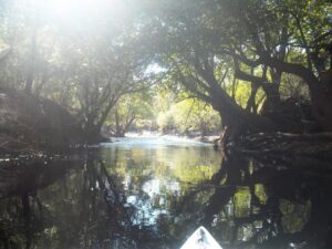 Exploring the Suwannee River by Kayak