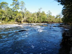 Exploring the Suwannee River by Kayak
