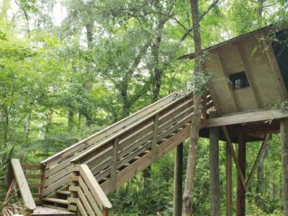 Treehouse Camping Camp Chowenwaw Park