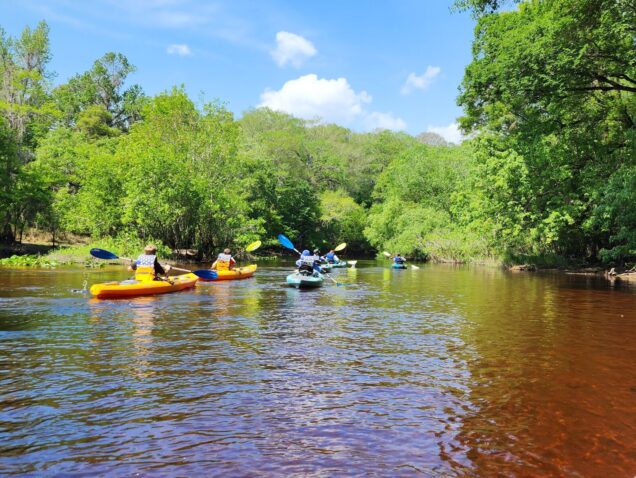 Guided Kayak River Eco Tour – Withlacoochee River